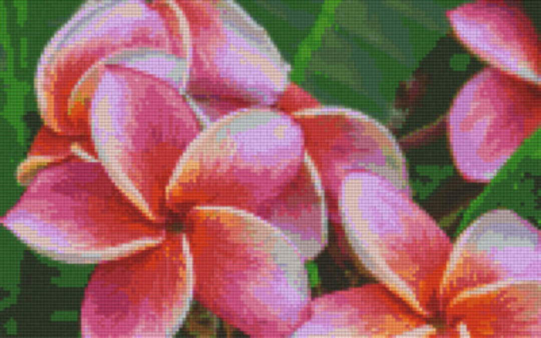 Frangipani Eight [8] Baseplate PixelHobby Mini-mosaic Art Kit image 0